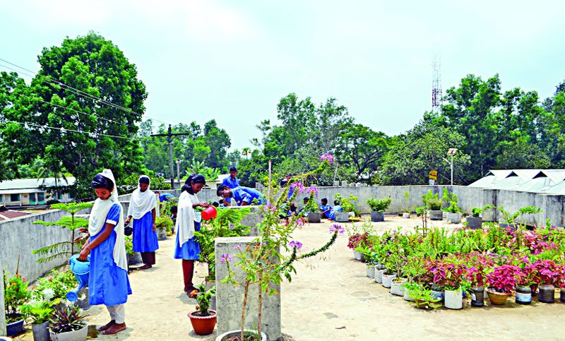 স্কুলের ছাদে বাগান