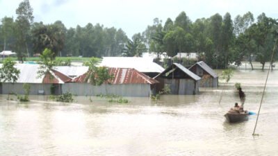 বন্যায় ফসলের ৪২ মিলিয়ন, গবাদিপশুর সাড়ে ৭৪ মিলিয়ন ডলার ক্ষতি