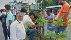 নোবিপ্রবি ছাত্রদলের নেতৃত্বে বৃক্ষরোপণ কর্মসূচি